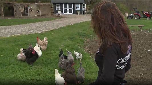 Small Farms Seeing Big Business