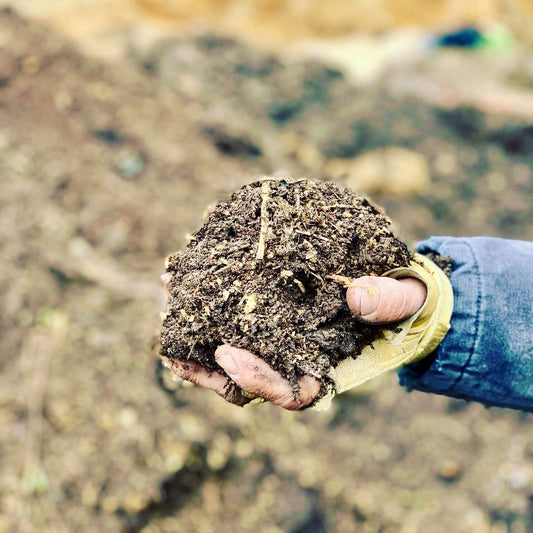Mastering the Deep Litter Method - A Guide to Efficient Composting and a Healthier Coop