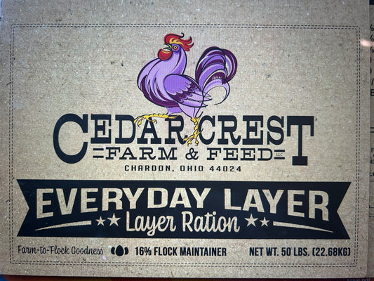 Everyday Lay - Economy Layer Feed