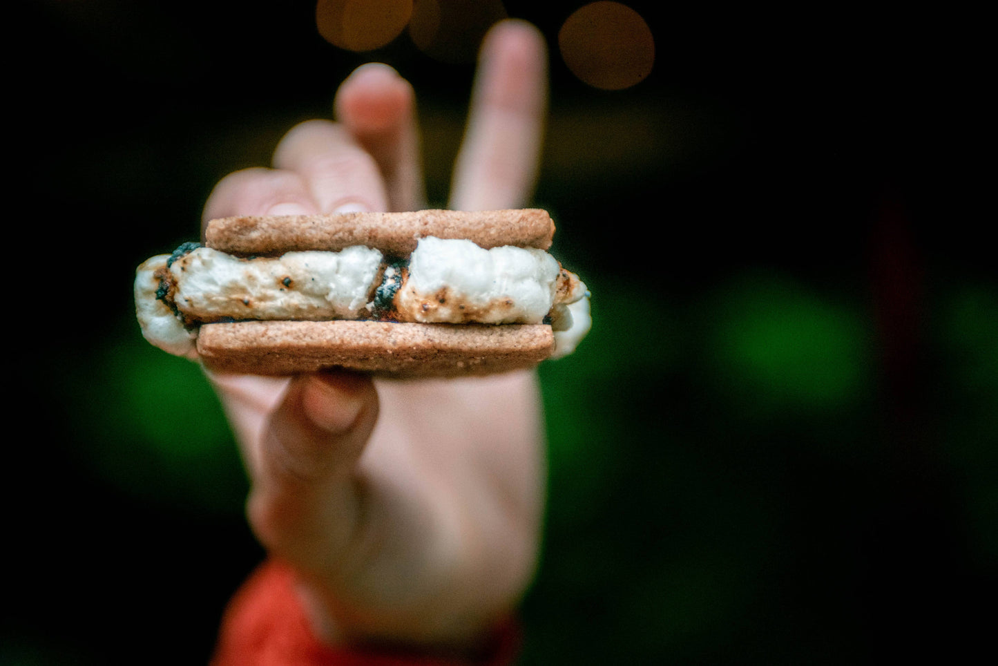 Premium Graham Crackers- Gluten Free