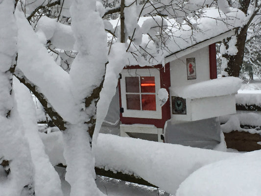 Winterizing Your Coop and Flock