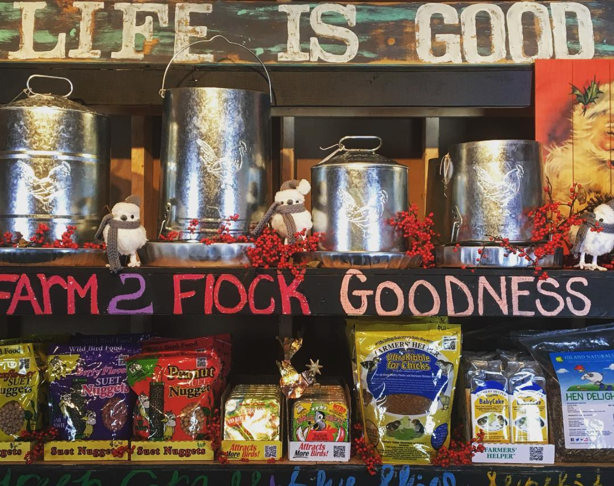 Animal Supplies