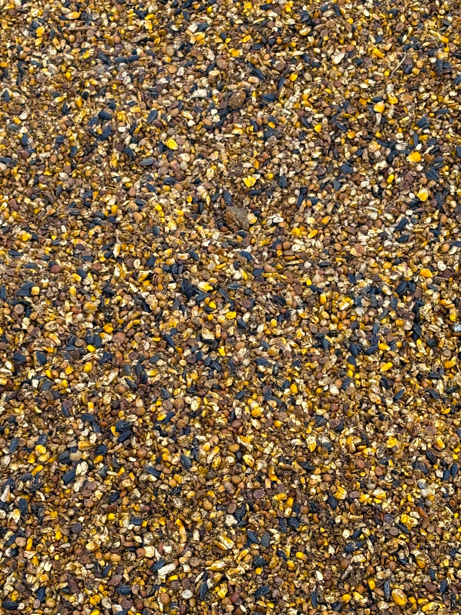 Animal Feed