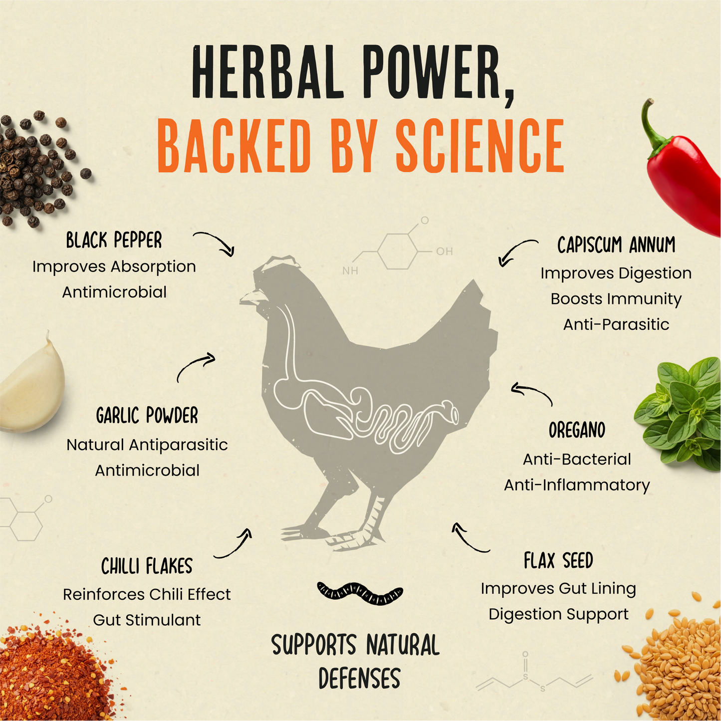 Daily Deworm + Gut Support