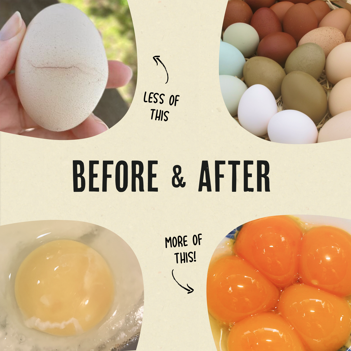 Gold Dust - Daily Egg Booster