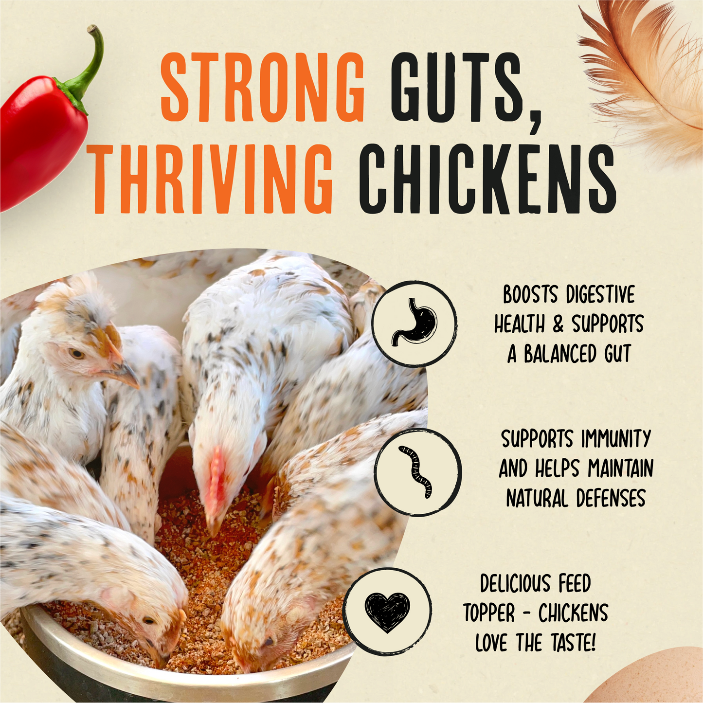 Daily Deworm + Gut Support