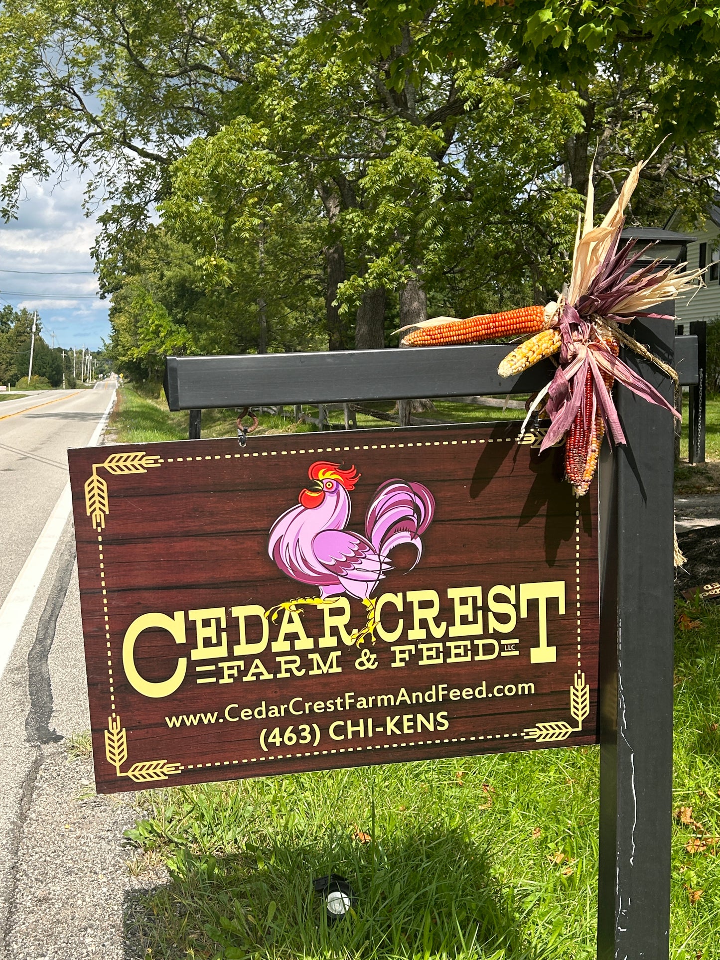 Layin' Large Feed (Local Delivery)