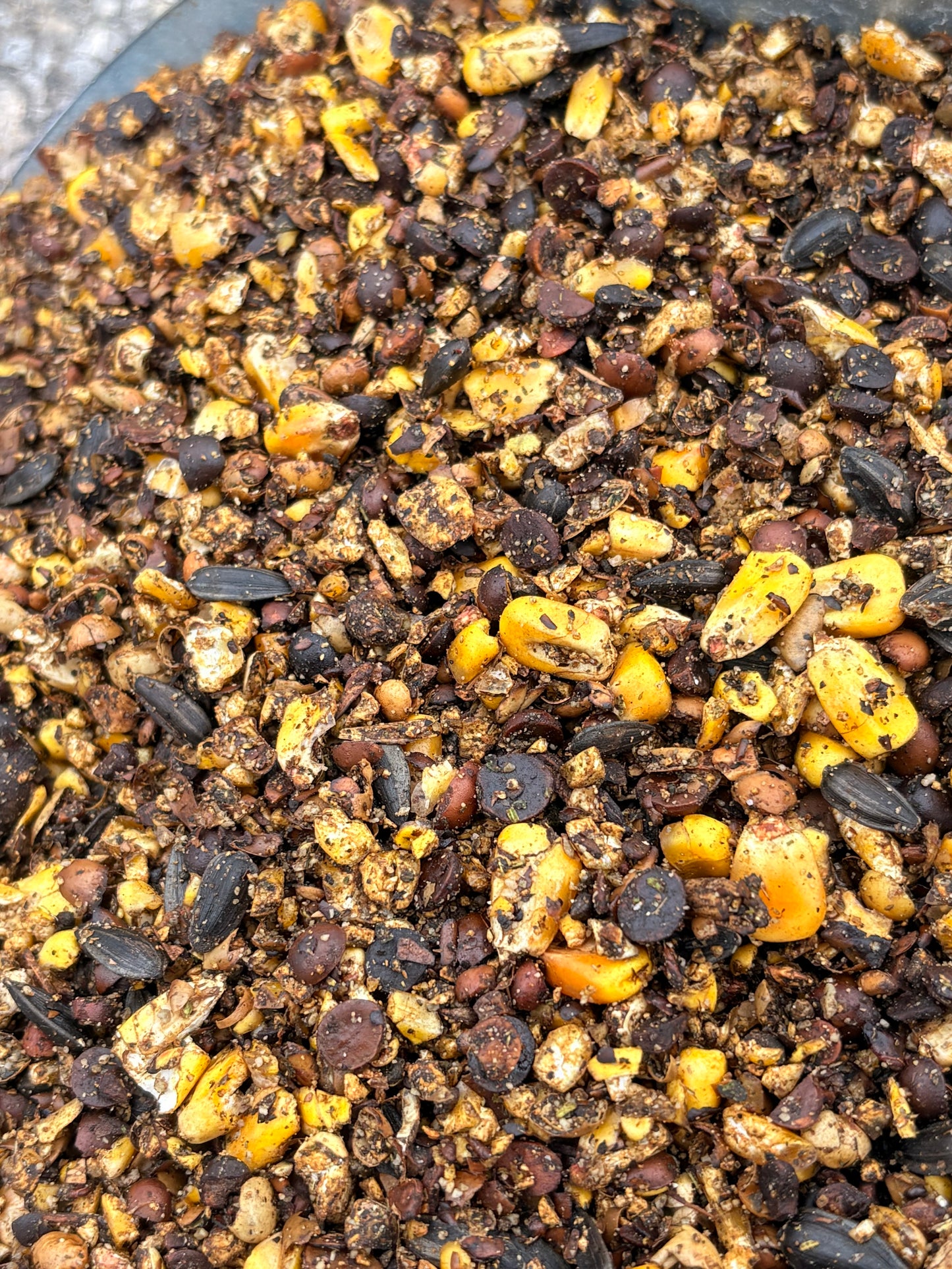 Cool Chick Starter Feed (Local Delivery)