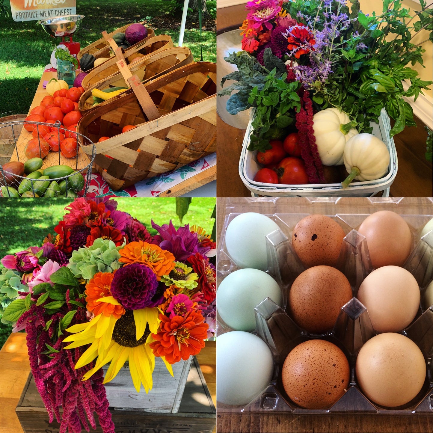 Farm Box Subscription~ single or monthly~