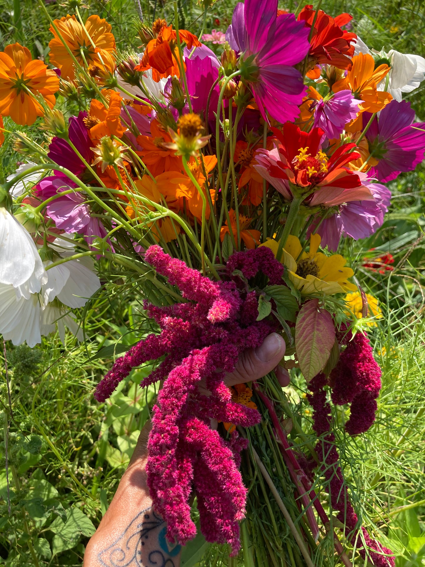 Farm Box Subscription~ single or monthly~