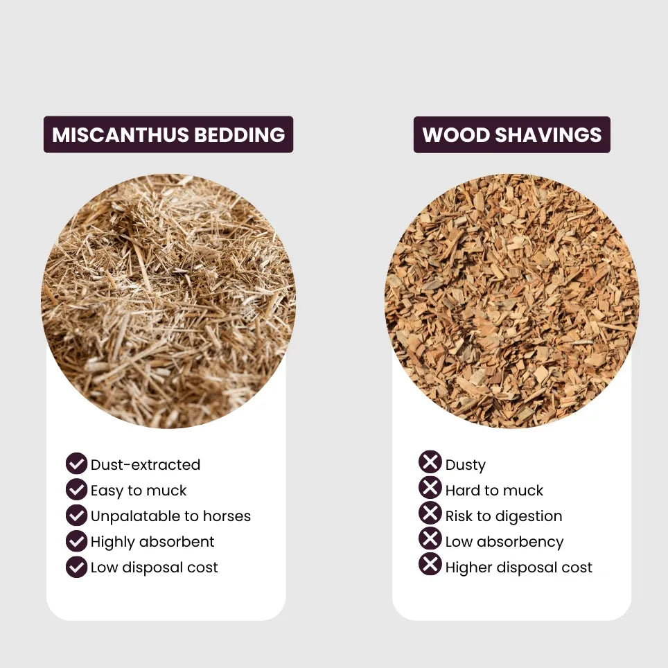 Giant Miscanthus Natural Animal Bedding